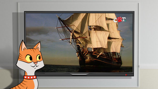 History Of Cats